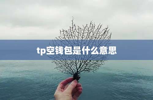 tp空钱包是什么意思