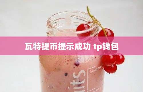 瓦特提币提示成功 tp钱包