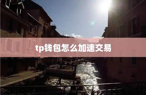 tp钱包怎么加速交易
