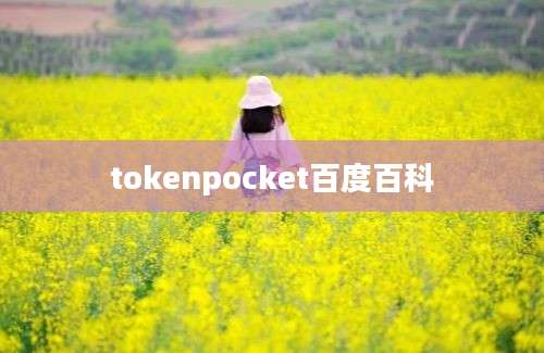 tokenpocket百度百科