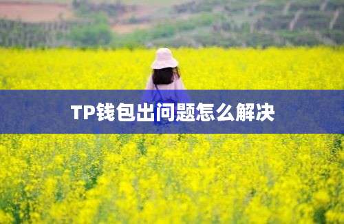 TP钱包出问题怎么解决