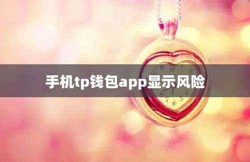 手机tp钱包app显示风险