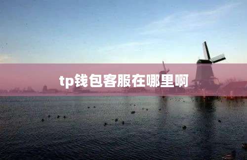 tp钱包客服在哪里啊