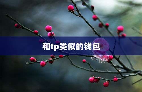 和tp类似的钱包