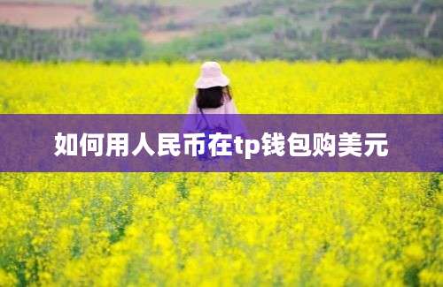 如何用人民币在tp钱包购美元
