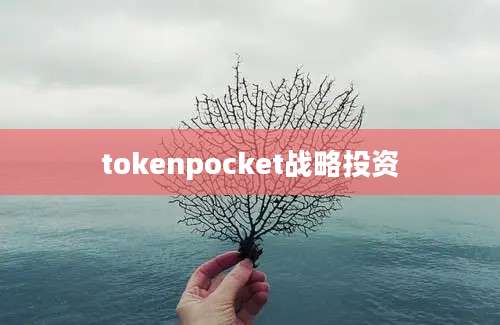 tokenpocket战略投资