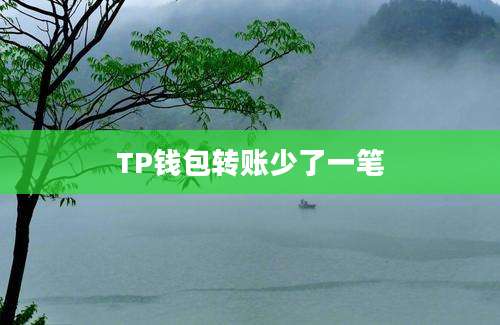 TP钱包转账少了一笔