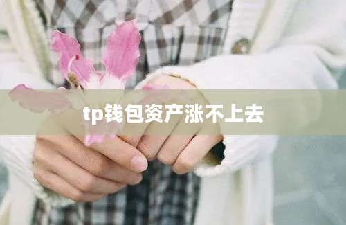 tp钱包资产涨不上去