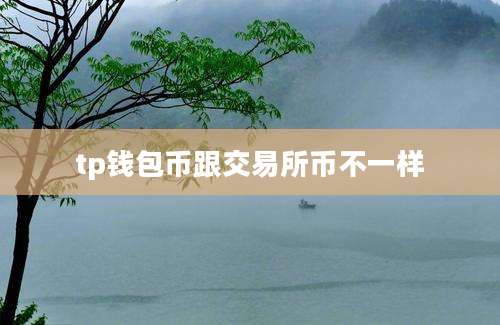 tp钱包币跟交易所币不一样
