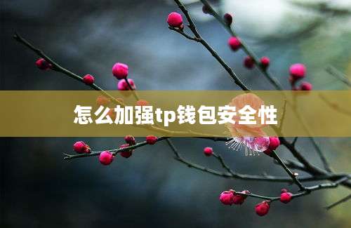 怎么加强tp钱包安全性