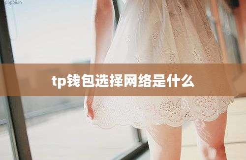tp钱包选择网络是什么