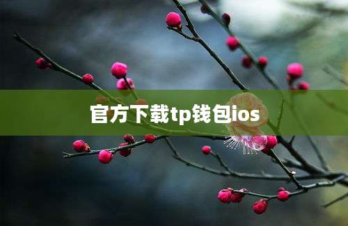 官方下载tp钱包ios
