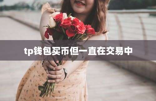 tp钱包买币但一直在交易中