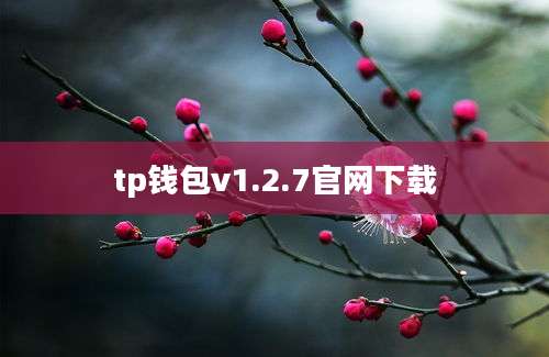 tp钱包v1.2.7官网下载