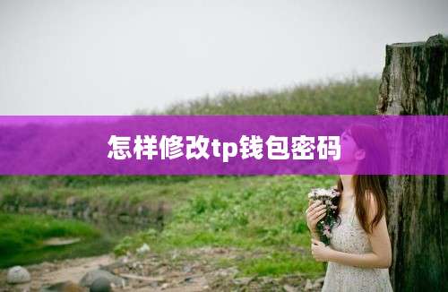 怎样修改tp钱包密码