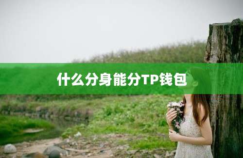 什么分身能分TP钱包