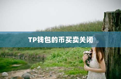 TP钱包的币买卖关闭