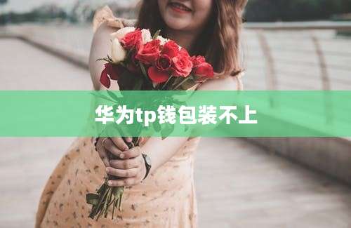 华为tp钱包装不上