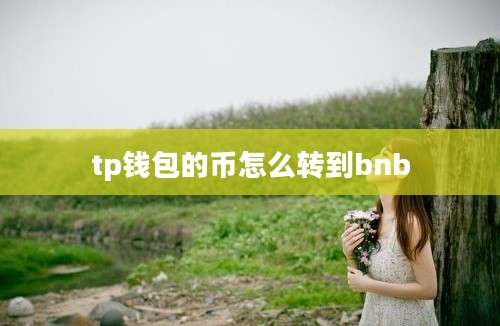 tp钱包的币怎么转到bnb