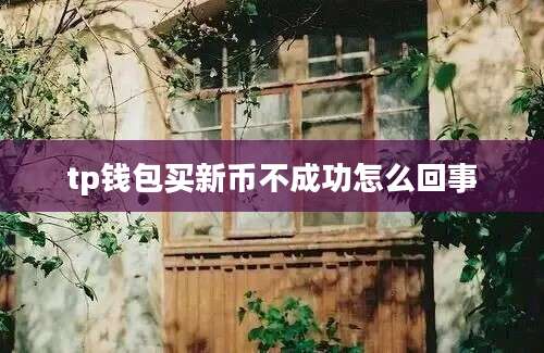 tp钱包买新币不成功怎么回事