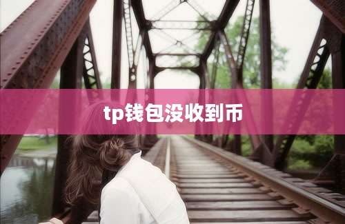 tp钱包没收到币