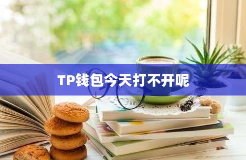 TP钱包今天打不开呢