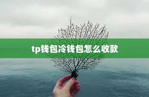 tp钱包冷钱包怎么收款