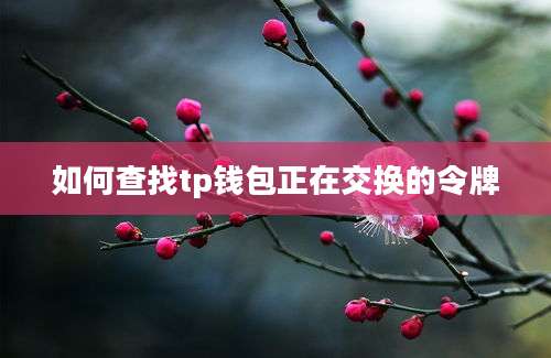 如何查找tp钱包正在交换的令牌