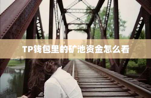 TP钱包里的矿池资金怎么看