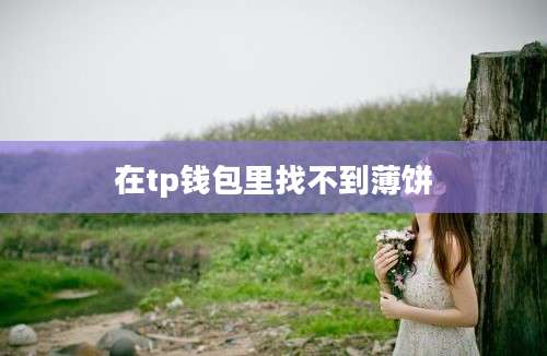 在tp钱包里找不到薄饼