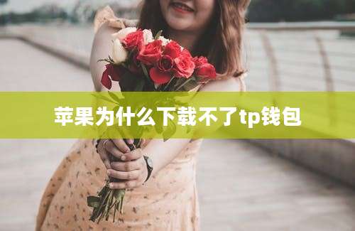 苹果为什么下载不了tp钱包