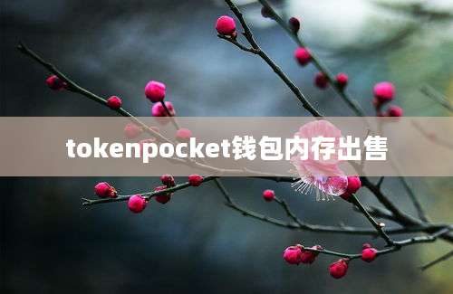 tokenpocket钱包内存出售