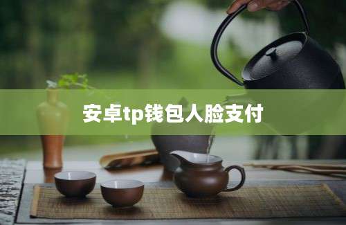 安卓tp钱包人脸支付