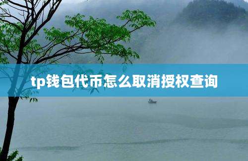 tp钱包代币怎么取消授权查询