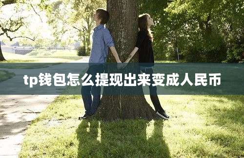 tp钱包怎么提现出来变成人民币
