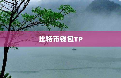 比特币钱包TP