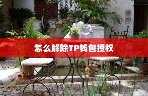 怎么解除TP钱包授权