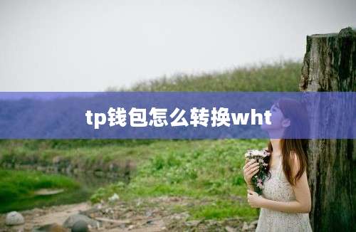 tp钱包怎么转换wht