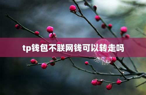 tp钱包不联网钱可以转走吗