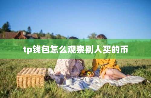 tp钱包怎么观察别人买的币