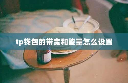 tp钱包的带宽和能量怎么设置