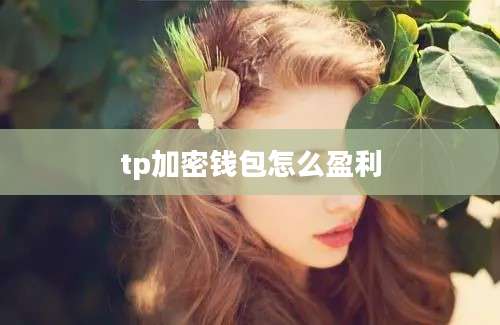 tp加密钱包怎么盈利