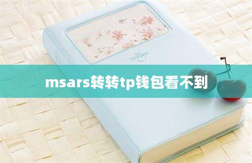 msars转转tp钱包看不到