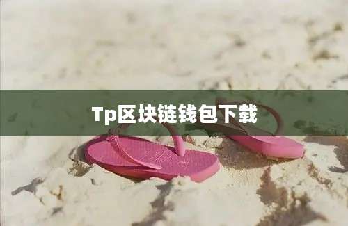 Tp区块链钱包下载