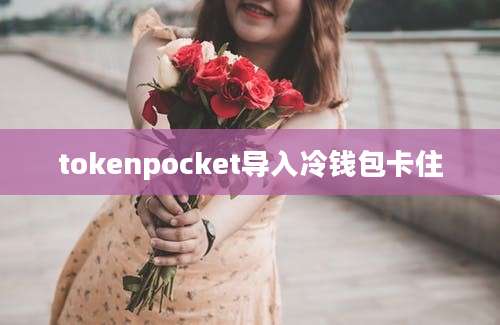 tokenpocket导入冷钱包卡住