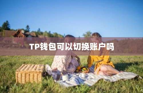 TP钱包可以切换账户吗