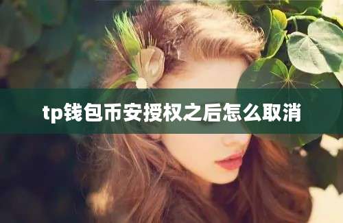 tp钱包币安授权之后怎么取消