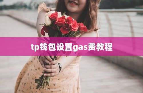 tp钱包设置gas费教程