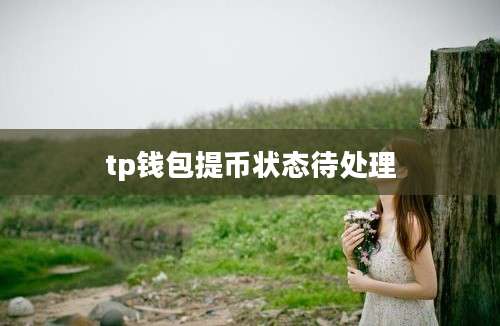 tp钱包提币状态待处理