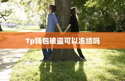 Tp钱包被盗可以冻结吗